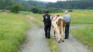 Scheinheiliges Angebot: Bauernverband und Landwirte kritisieren neue Aldi-Milch