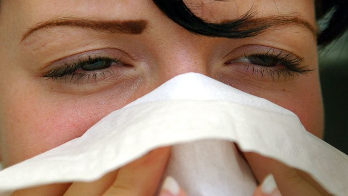 Grippewelle trifft vor allem Jüngere: Zahl der Krankmeldungen im Vergleich zu 2012 gestiegen