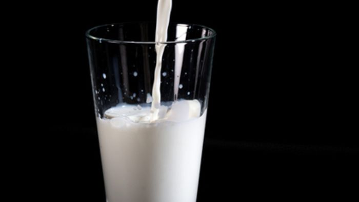 Milchpreis: Politik sucht Lösungen