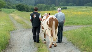 Scheinheiliges Angebot: Bauernverband und Landwirte kritisieren neue Aldi-Milch