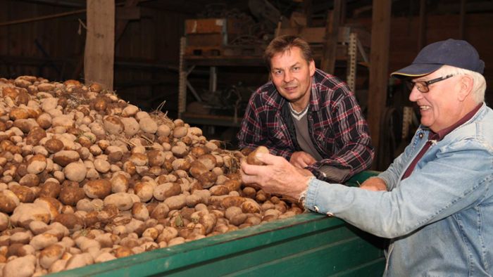 Kartoffelanbau spielt kaum noch eine Rolle