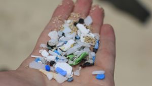 Uni Bayreuth untersucht die Wirkung von Mikroplastik