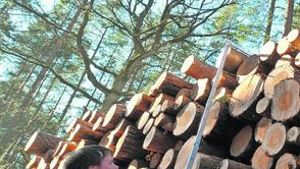 Holzpreise setzen Sägewerken zu