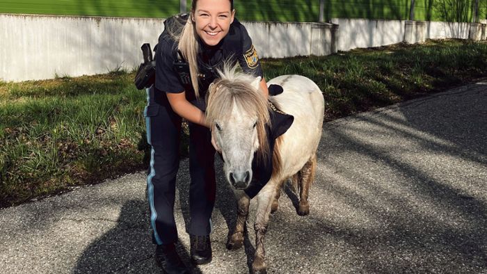 Polizei fängt entlaufenes Pony ein