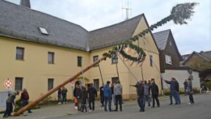 Prozess um den illegalen Maibaumklau von Mistelgau