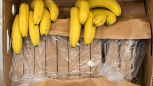Überraschung bei Aldi: Halbe Tonne Kokain in Bananenkartons