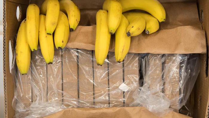 Überraschung bei Aldi: Halbe Tonne Kokain in Bananenkartons