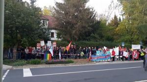 Friedliche Proteste gegen AfD-Veranstaltungen
