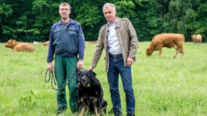 Hundekot im Feld kann Kälber töten