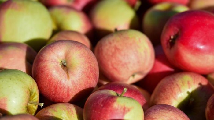 Studie: Über 100 Millionen Bakterien pro Apfel