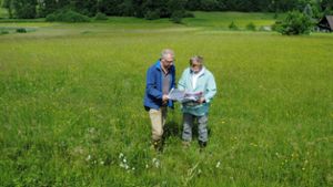 Naturschutz: Martin Feulner kartiert die Wiesen in und um Bayreuth