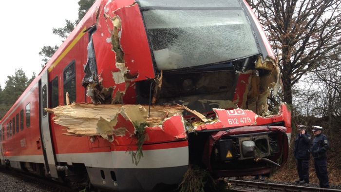 Zugunglück bei Pegnitz: Lokführer reagierte schnell und vorbildlich