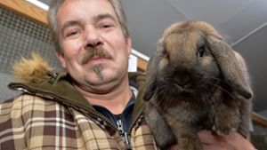 Kaninchenzüchter gewinnt mit vier seiner Tiere Europameistertitel