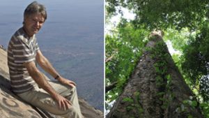 Bayreuther entdeckt höchste Bäume Afrikas