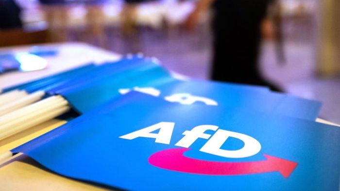 Geld aus der Schweiz auch an AfD-Landtagskandidaten