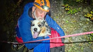 Bergwacht rettet abgestürzten Hund am Teichelberg