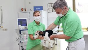 Impfung: Tierärzte zeigen sich skeptisch