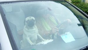 Polizei holt Hund aus geparktem Auto