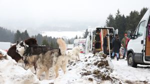 Fotos: Schlittenhunde-Rennen
