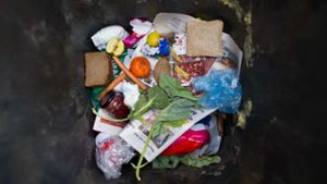 3,5 Millionen Tonnen Lebensmittel landen im Müll