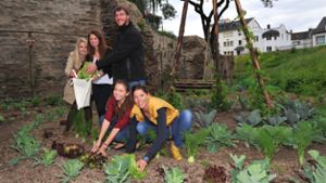 Bürger fordern Gemeinschaftsgärten in Hollfeld