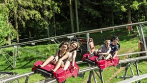 Freizeit in Oberfranken: Rasante Abfahrt für Klein und Groß