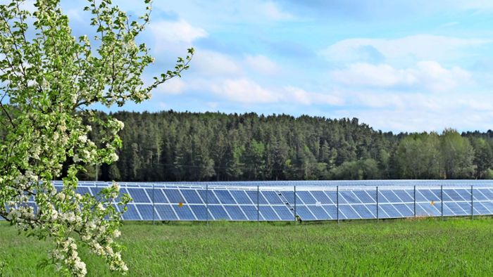 Freiflächen-Photovoltaik-Anlage wird konkret