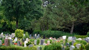 Widerstand gegen Ruhewald: Zu wenig Bestattungen