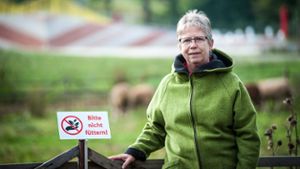 Mainauenhof: Zwei Schafe totgefüttert