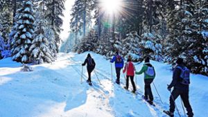 Ochsenkopf Winterwandertage: 30 Touren in fünf Tagen