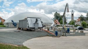 Biogasanlagen: Gülle vergiftet Fische