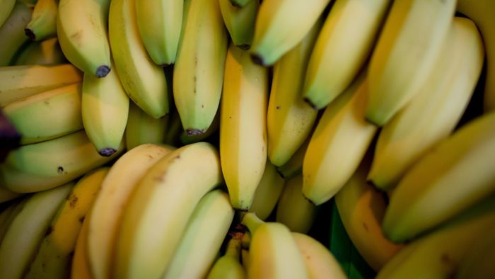 49 Kilo Kokain in Bananenkisten entdeckt