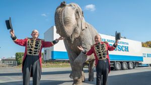 Tierrechtler demonstieren gegen Zirkus