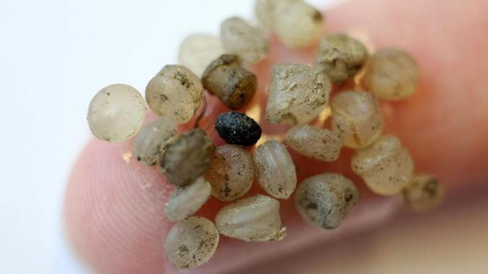 Was macht Mikroplastik im Süßwasser?