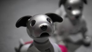 Sony macht Roboterhund zum Aufpasser im Haushalt