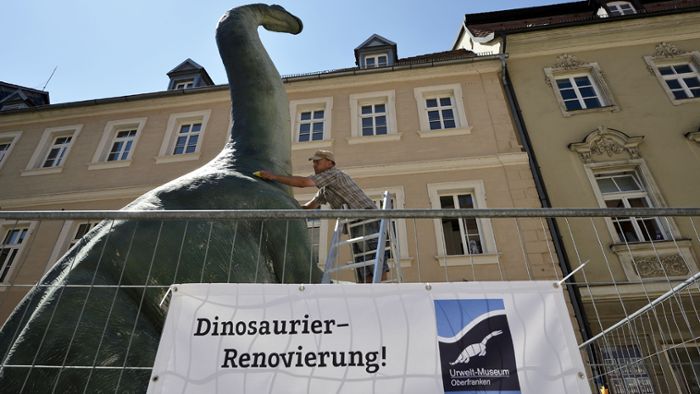 Modelle des Bayreuther Urwelt-Museums werden renoviert