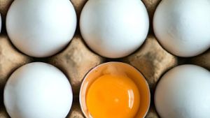 Salmonellen-Alarm in Bio-Eiern