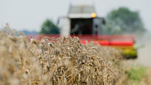 Reiche Getreideernte für Bayerns Bauern
