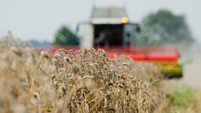 Reiche Getreideernte für Bayerns Bauern