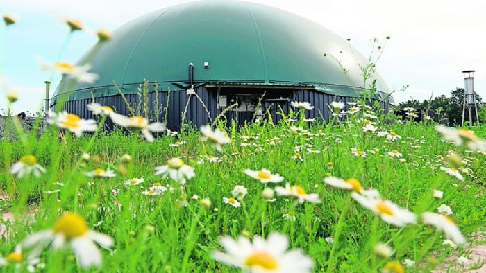 Bald erste Einbußen für Biogasanlagen