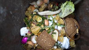 Kabinett beschließt Pläne für weniger Lebensmittelabfälle