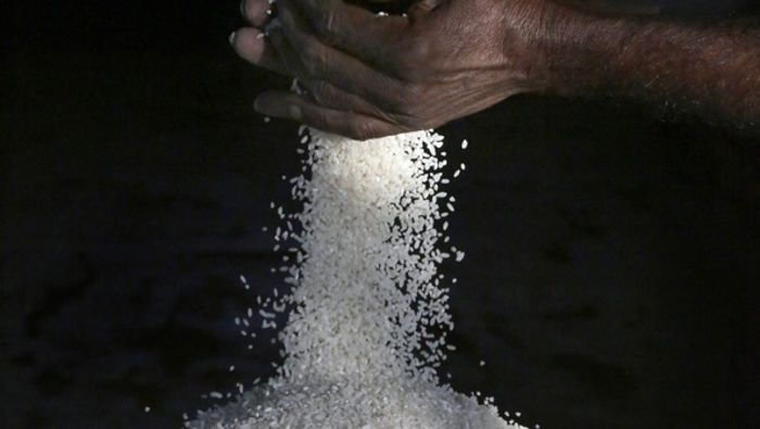 Arsen im Reis: Dem Gift auf der Spur