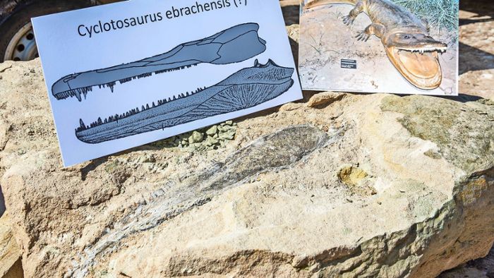 Geologen legen Top-Jäger aus der Urzeit frei