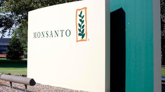 Noch eine Klage gegen Bayer-Tochter Monsanto