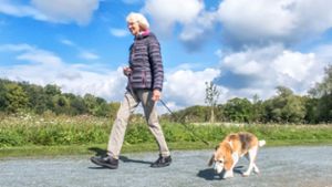 Wilhelminenaue: Etwas Freilauf für Hunde