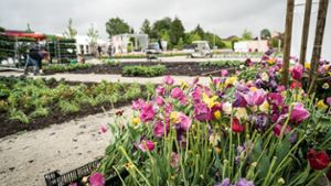 Gartenschau: Der Frühling fliegt raus