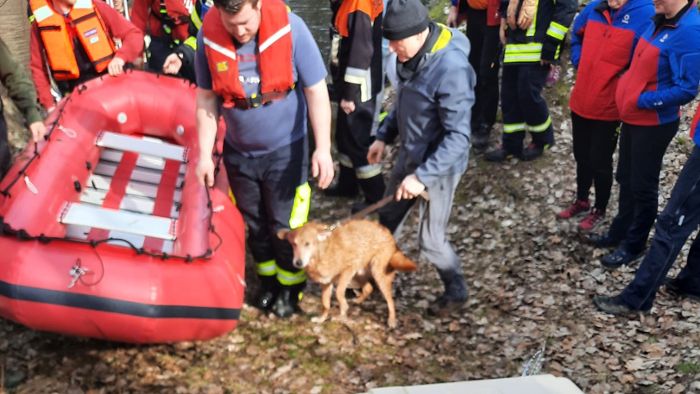 Großaufgebot bei Selb : Feuerwehr rettet Hund vor dem Ertrinken