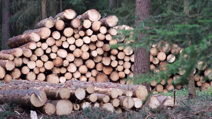Waldkauf endet vor Gericht