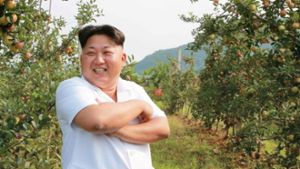 Kim Jong Un kümmert sich um Sauerkohl