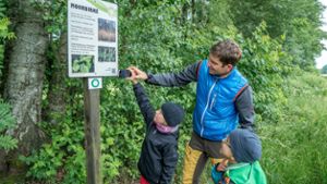 Speichersdorf: Naturlehrpfad und Biberstege nach Neugestaltung wieder eröffnet